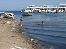 Spielende Kinder