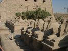 Sphingen vor dem Karnak Tempel (in neuem Fenster)