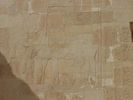 Hathor dargestellt als Kuh - Hatschepsut-Tempel (in neuem Fenster)