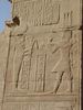 Chons und Hapi in Kom Ombo (in neuem Fenster)